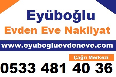 aydınlı evden eve nakliyat